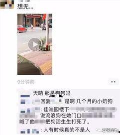 网友爆料男子被打死视频,网友爆料视频引发社会关注 第2张 网友爆料男子被打死视频,网友爆料视频引发社会关注 第2张