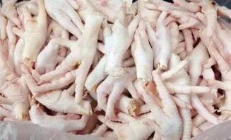 无缝鸡爪爆料视频大全集,揭秘幕后真相与精彩瞬间 第3张 无缝鸡爪爆料视频大全集,揭秘幕后真相与精彩瞬间 第3张